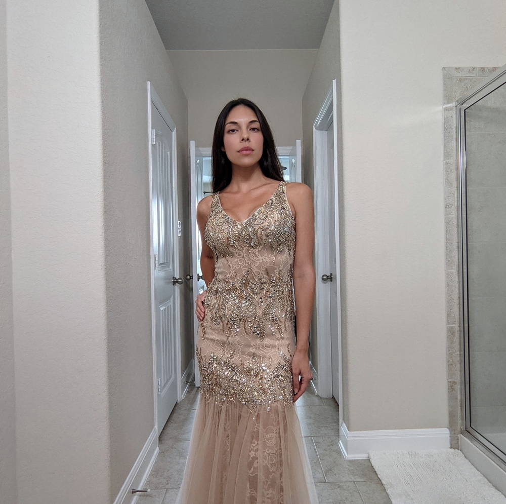 Wedding Terani Couture Gown